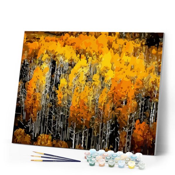 Forest and Autumn Colors Cheap