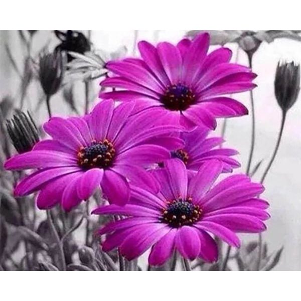 Diamond Painting - Purple Daisies Online Sale - Image 2