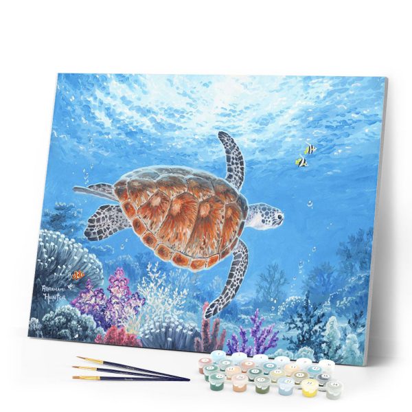 Turtle Cheap