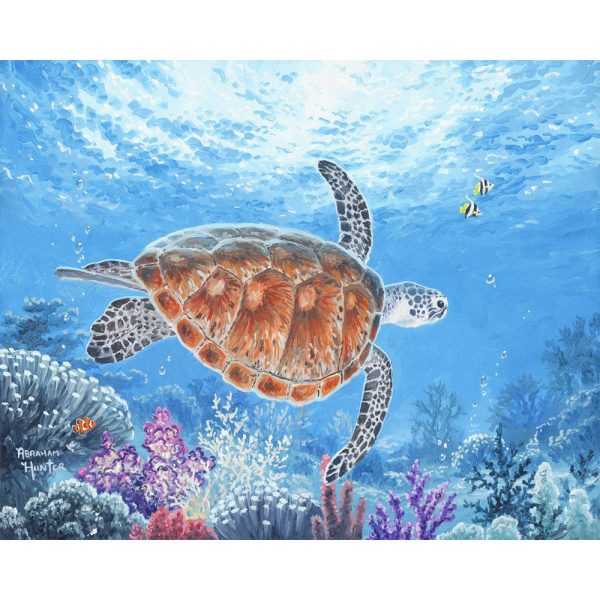 Turtle Cheap - Image 2