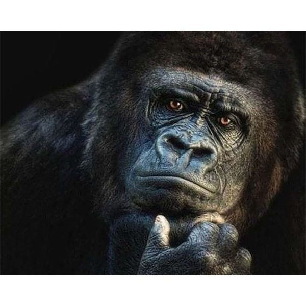 Diamond Painting - Gorilla For Cheap - Image 2