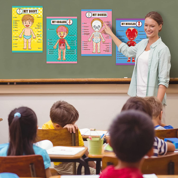 Human Body Educational Learning Posters Body Parts Learning Wall Chart for Kids Cartoon Anatomy Chart Educational Poster Preschool Kindergarten Teaching Supplies, Classroom Decoration, 17 x 11 Inch For Discount - Image 5