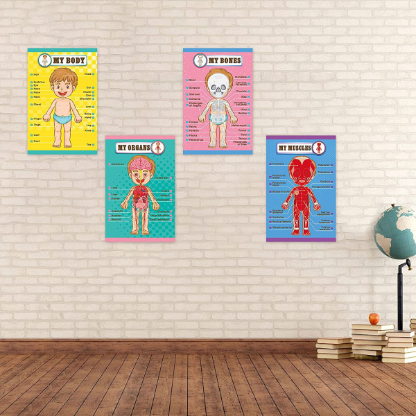 Human Body Educational Learning Posters Body Parts Learning Wall Chart for Kids Cartoon Anatomy Chart Educational Poster Preschool Kindergarten Teaching Supplies, Classroom Decoration, 17 x 11 Inch For Discount - Image 4